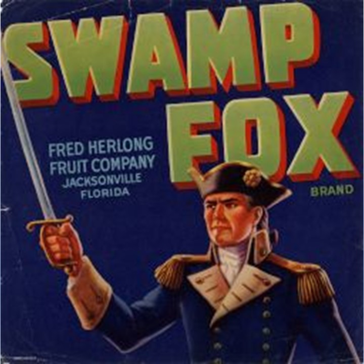 Swamp Fox