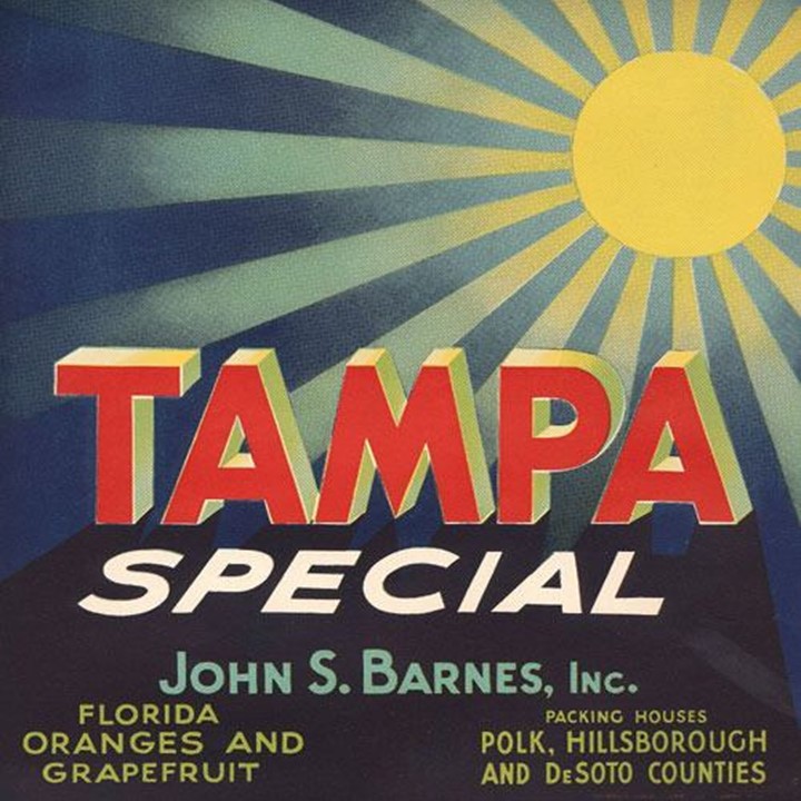 Tampa Special Tampa Special