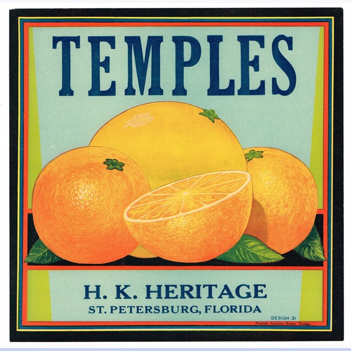 Temples Temples