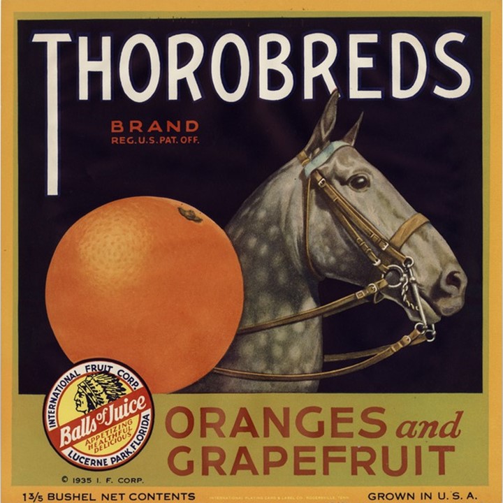 Thorobreds Thorobreds