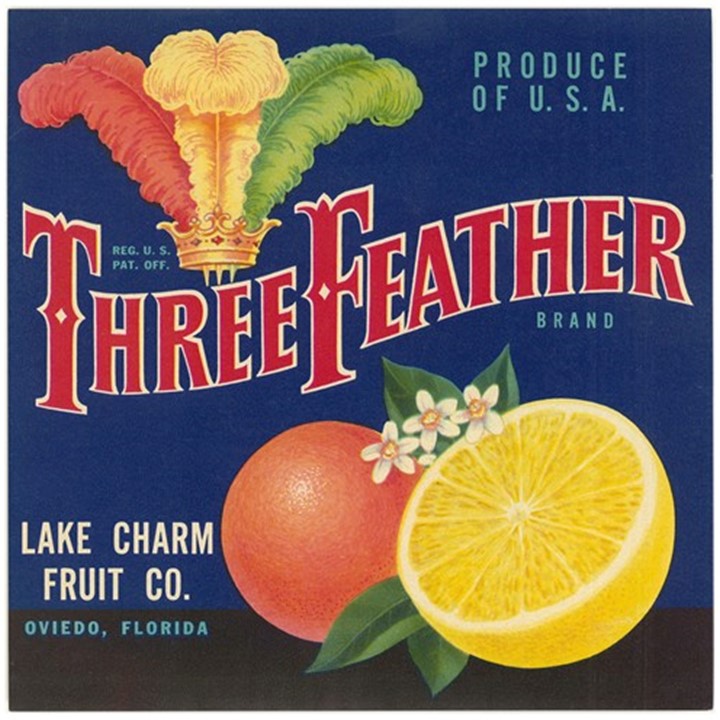 Three Feather Three Feather