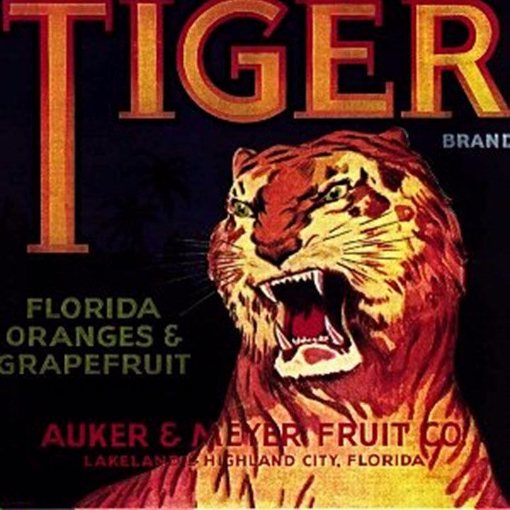 Tiger Tiger