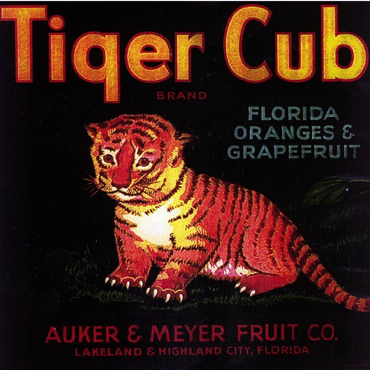Tiger Cub Tiger Cub
