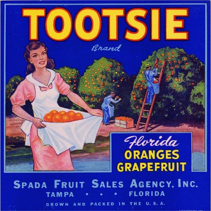 Tootsie Tootsie