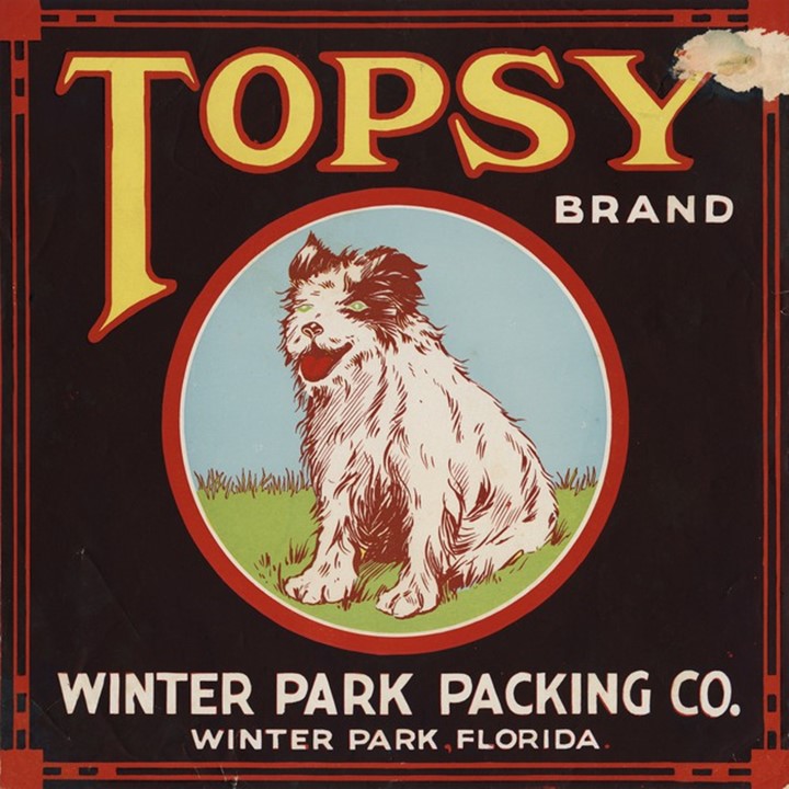 Topsy Topsy