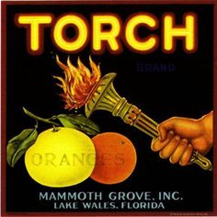 Torch Torch