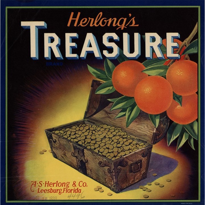 Treasure Treasure