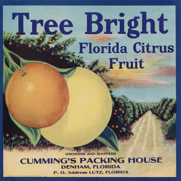 Treebright Treebright