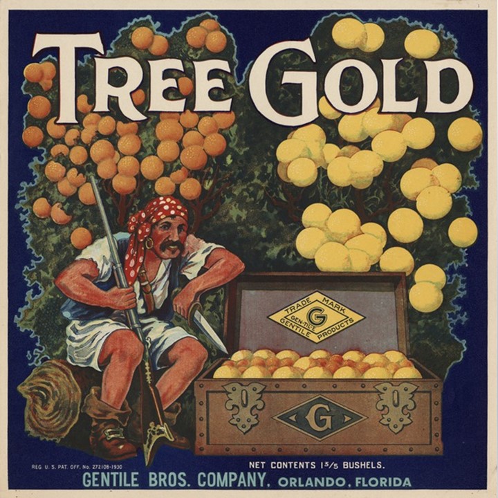 Treegold Treegold