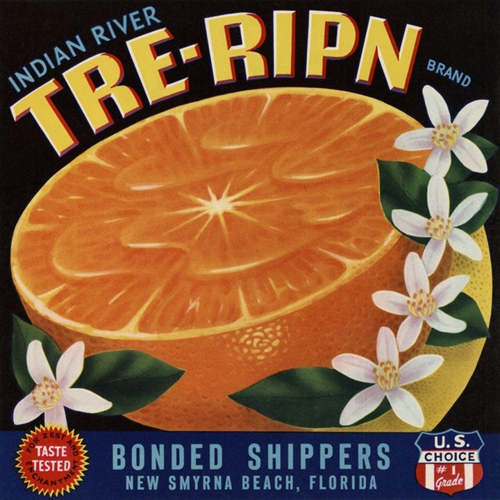 Tree Ripn Tree Ripn