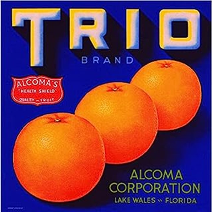 Trio Trio