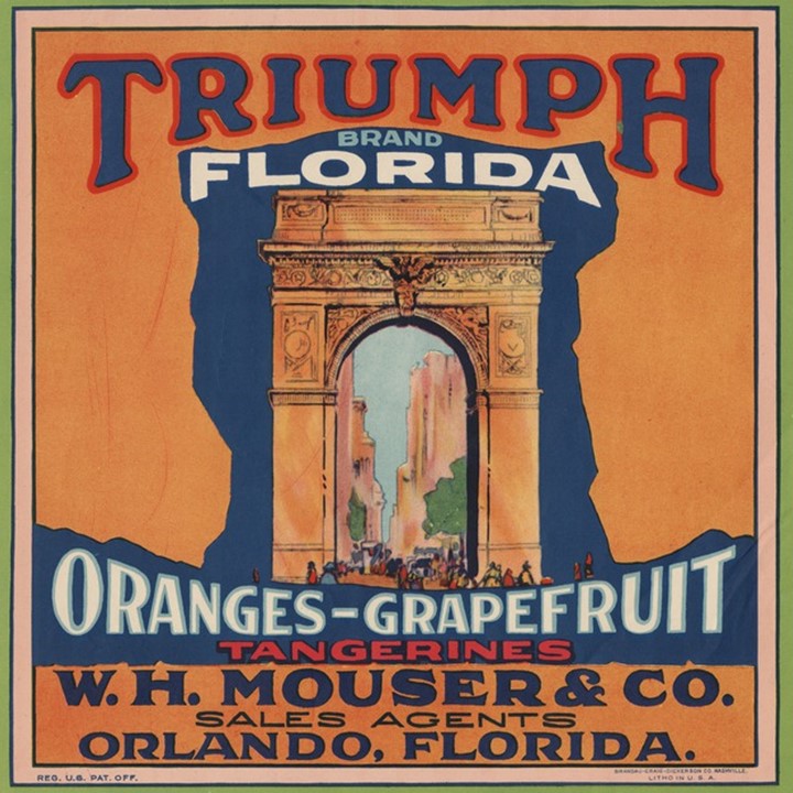 Triumph Triumph