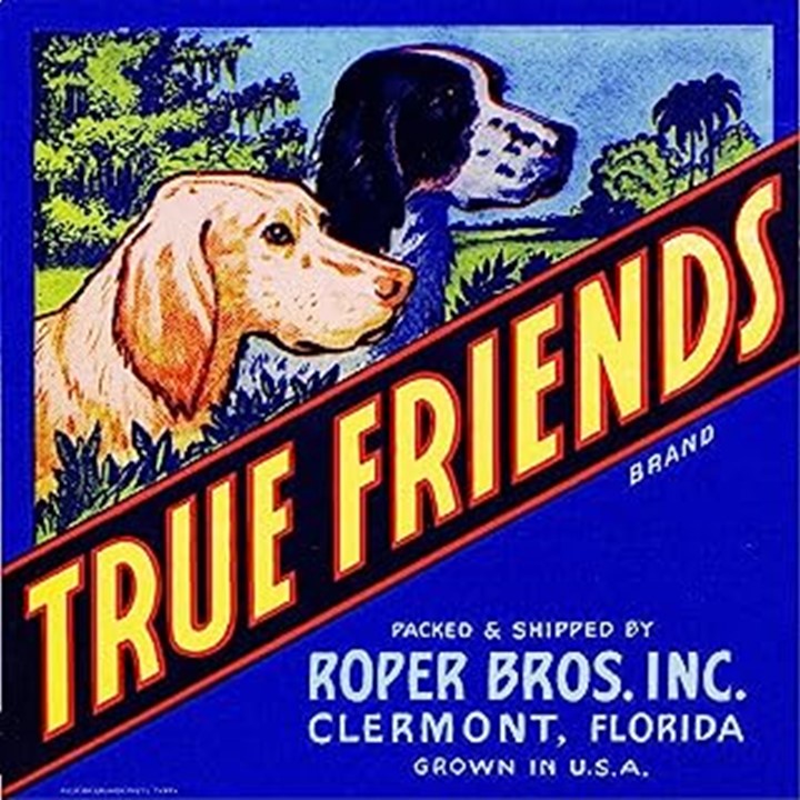 True Friends True Friends