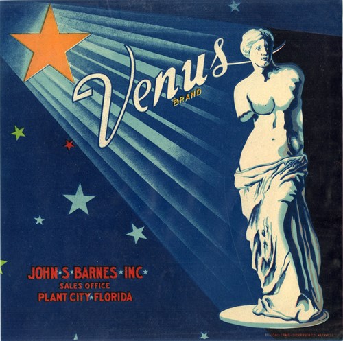 Venus