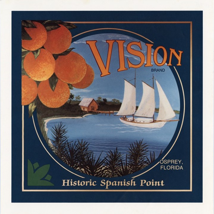 Vision Vision