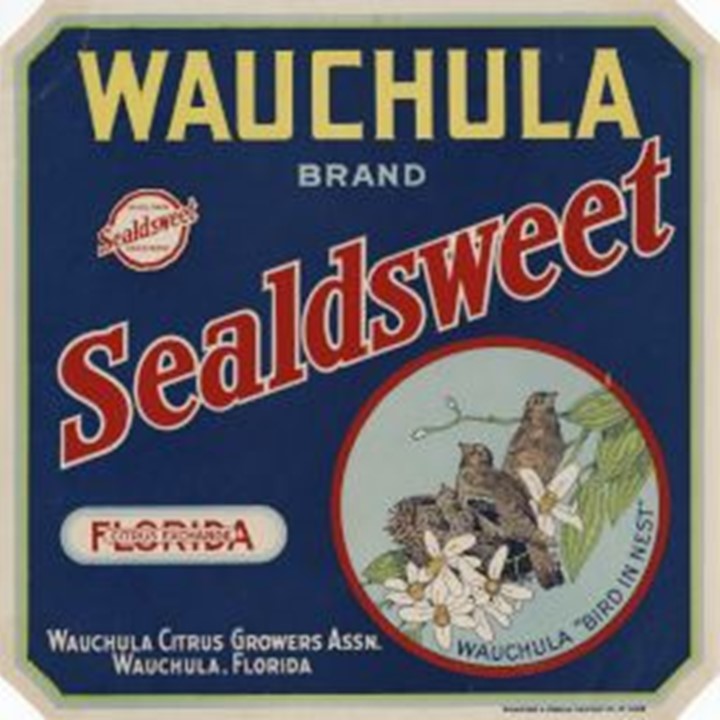 Wauchula