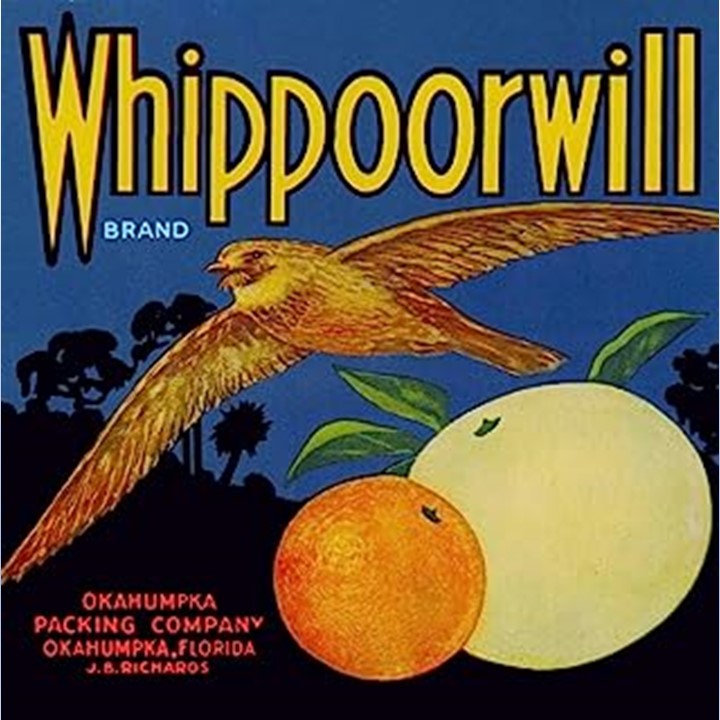 Whippoorwill