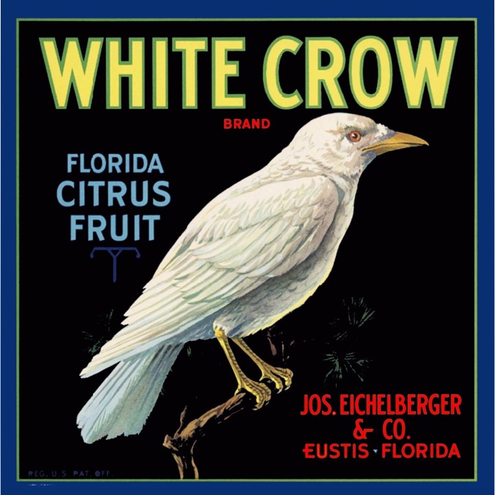 White Crow