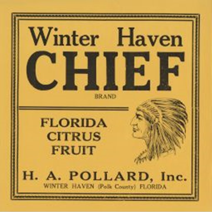Winter Haven Chief