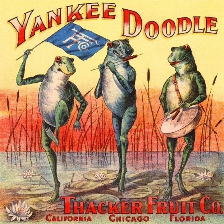 Yankee Doodle