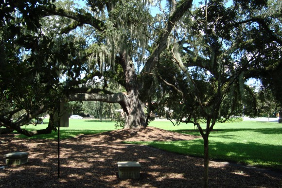 Fairview Shores Community Park