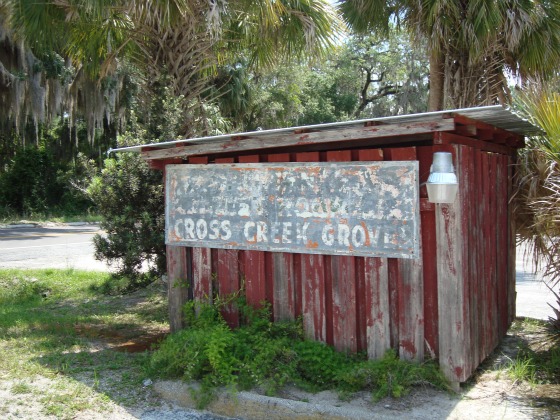 Old Shed in Cross Creek