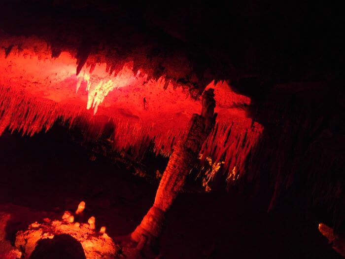 Florida Caverns State Park