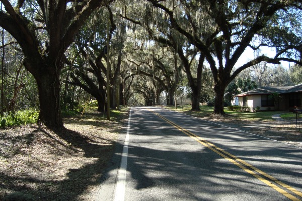 Grayton Beach Cottage Shop