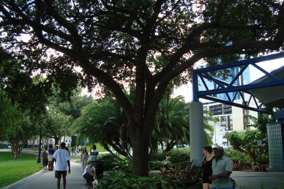 Orlando Lake Eola Park