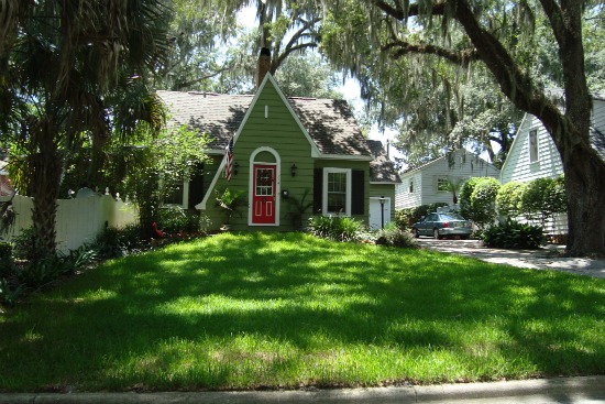 ocala florida rolling hills and thoroughbred horses