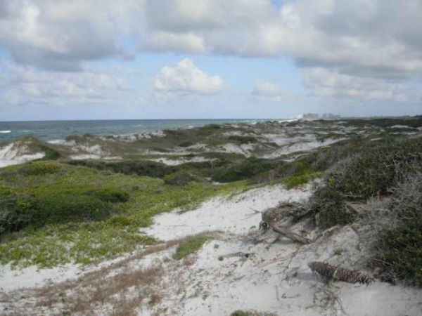 Topsail Hill Preserve State Park