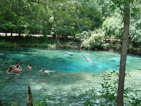 Lithia Santa Fe >> GINNIE SPRINGS: An Outdoor Adventure And Camping Paradise Lithia Santa Fe >> GINNIE SPRINGS: An Outdoor Adventure And Camping Paradise
